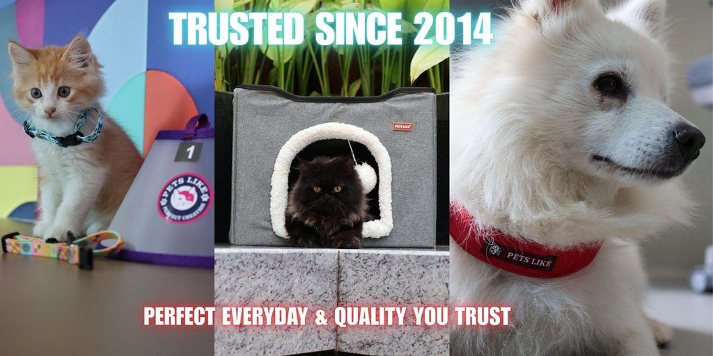 Buy Accessories for Pet Dog and Puppy – petslike.in