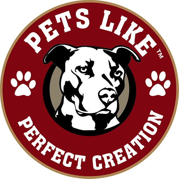 Buy Accessories for Pet Dog and Puppy – petslike.in