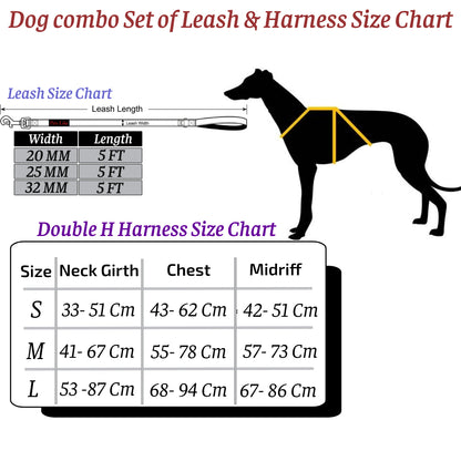 Dog Combo on Leash with Double H Harness
