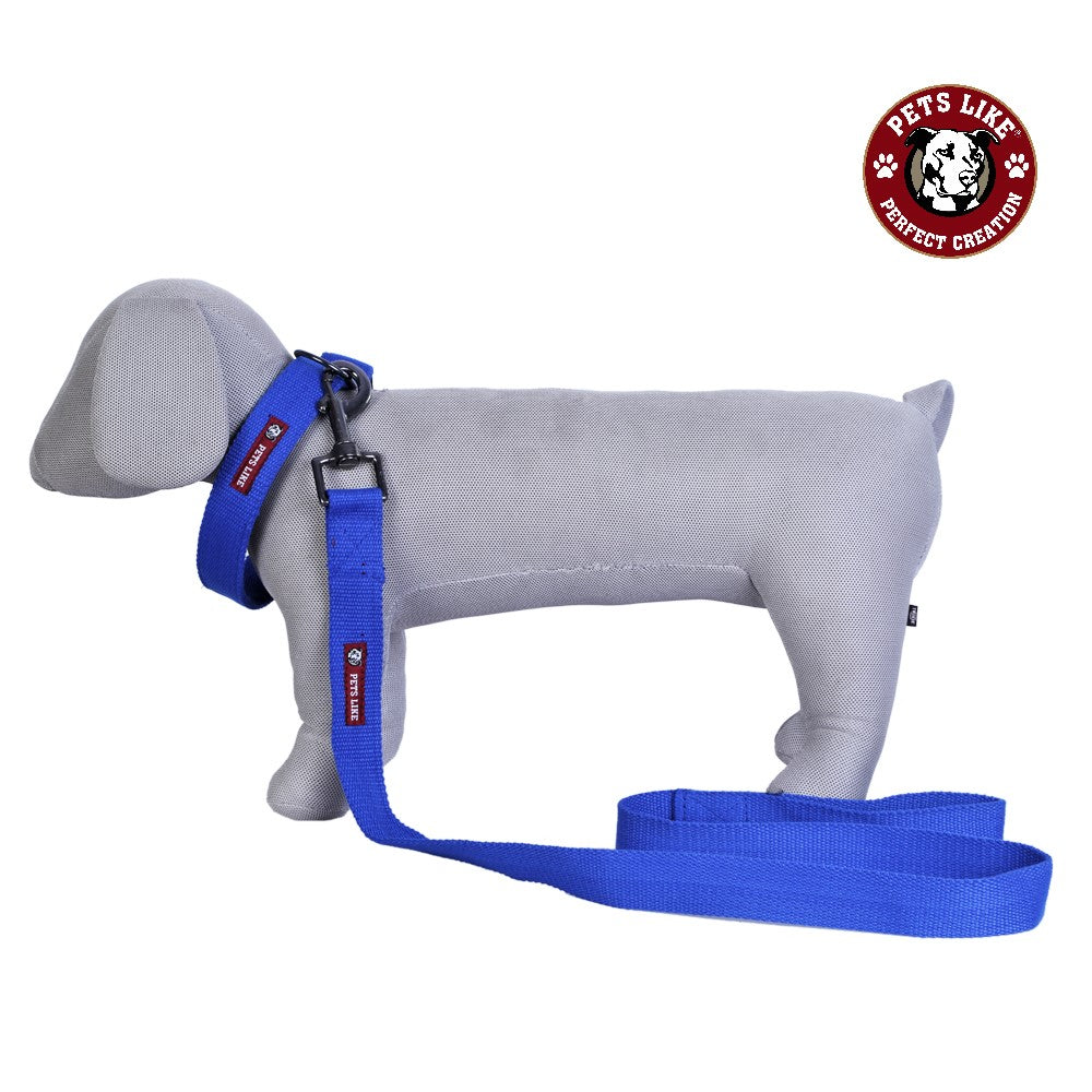 Spun Poly Collar & Leash Set