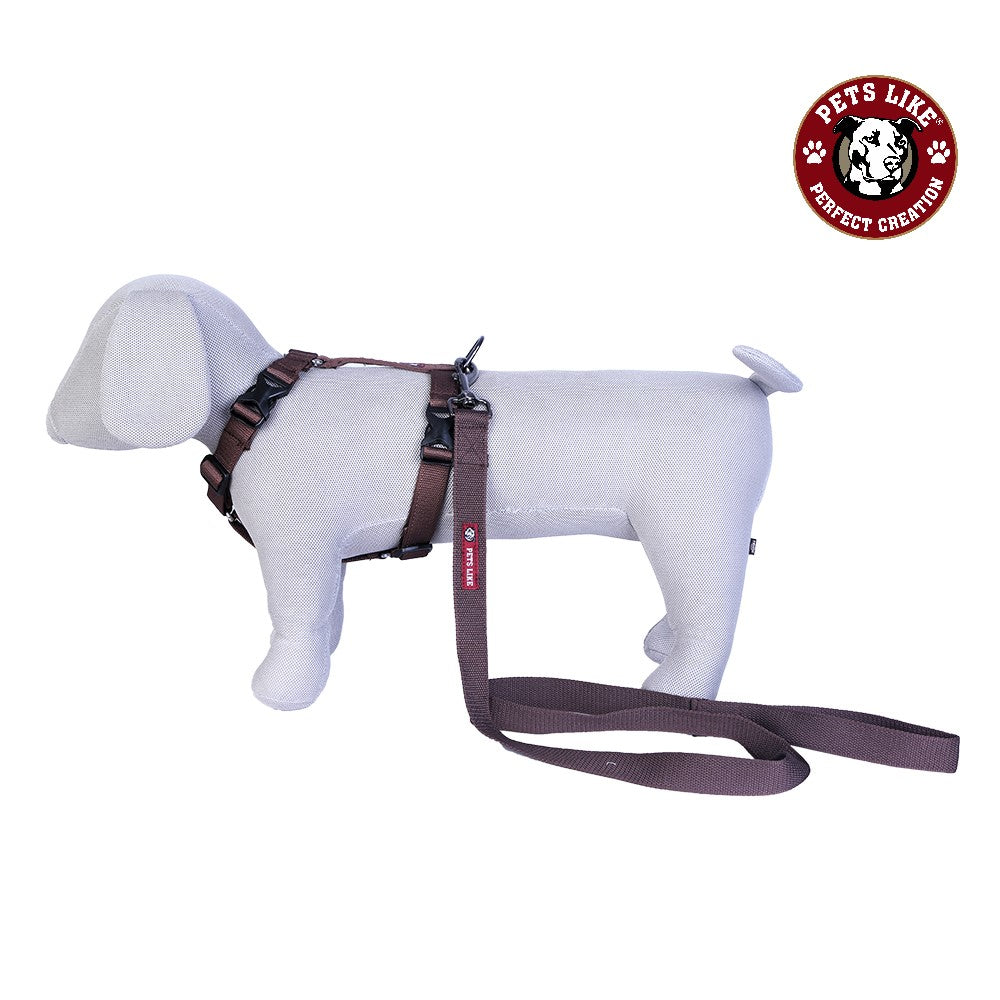 Spun Full Harness with Leash Set