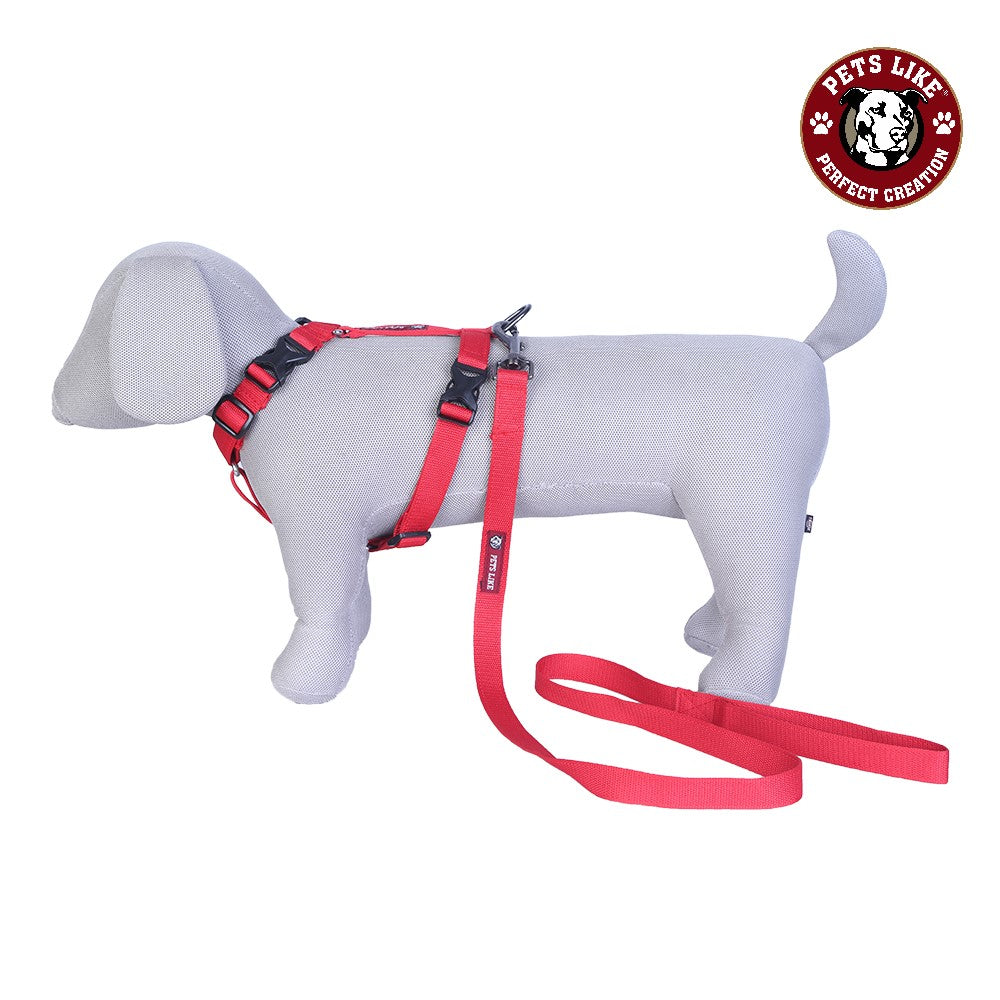 Spun Full Harness with Leash Set