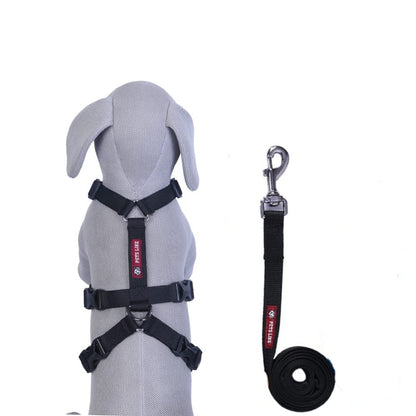 Dog Combo on Leash with Double H Harness