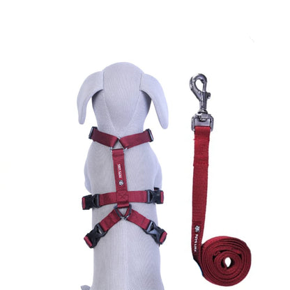 Dog Combo on Leash with Double H Harness