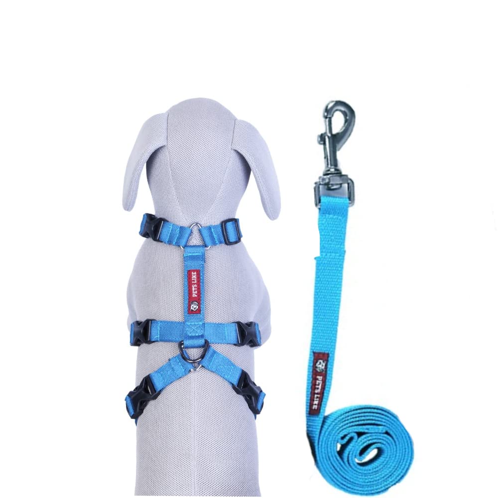 Dog Combo on Leash with Double H Harness